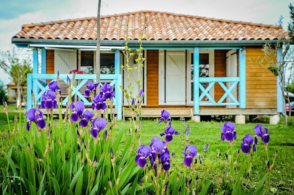 Domaine De Chadeyron Hotell Lagorce  Eksteriør bilde